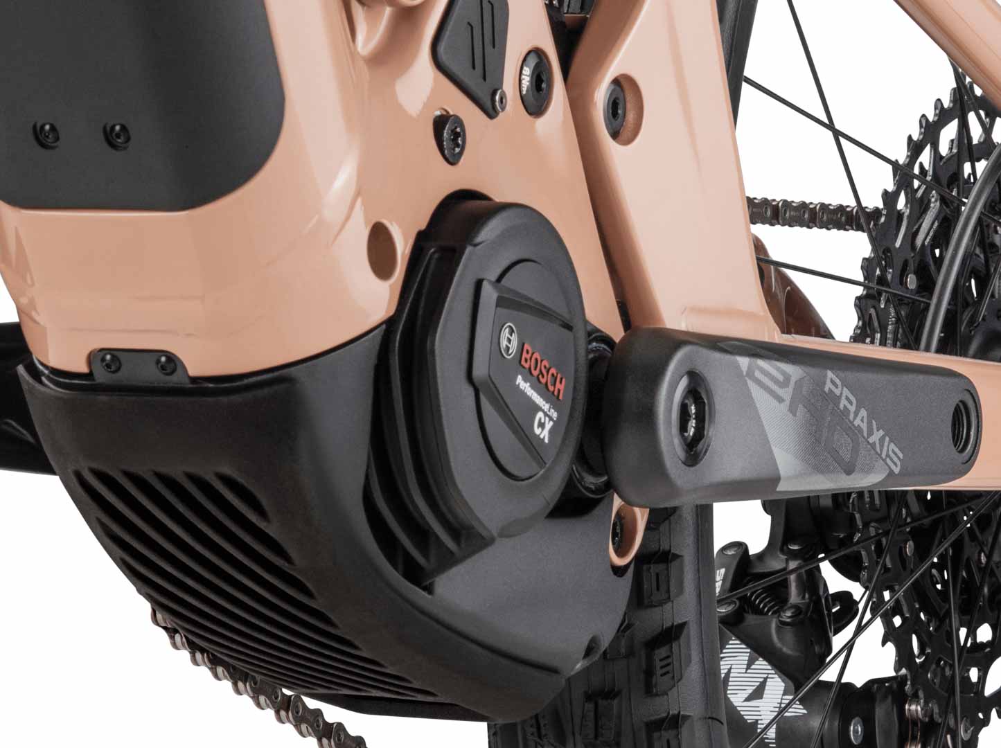 6080 Z LT NX Maybe Beige – SCOR